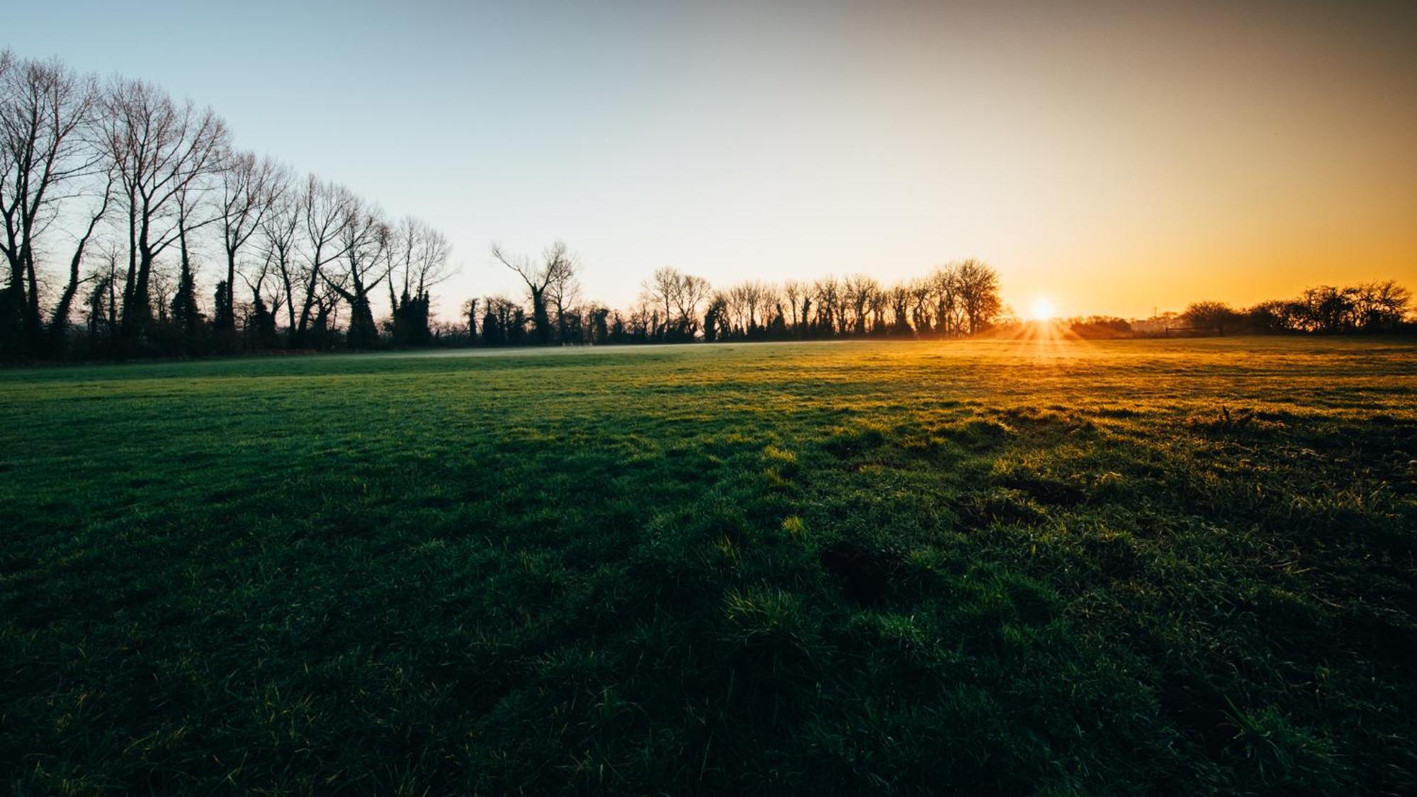 Vila Moors Wood Relaxing ,Tranquil Retreat With Hot Tub Chippenham  Exteriér fotografie