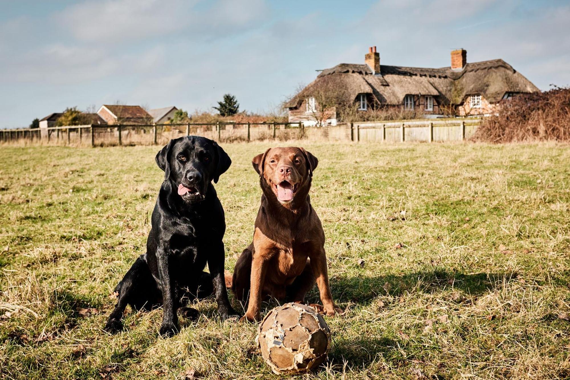 Vila Moors Wood Relaxing ,Tranquil Retreat With Hot Tub Chippenham  Exteriér fotografie